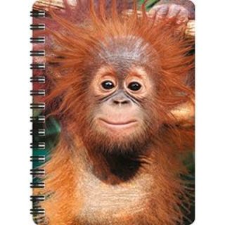 Obrázek z Notes 3D 11x14cm - orangutan (10) 